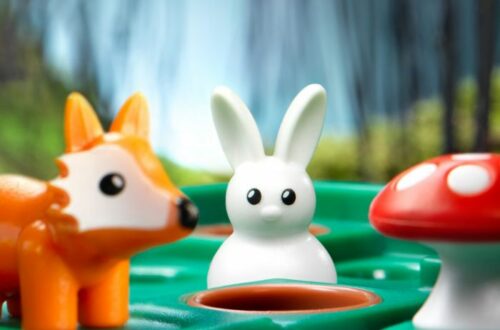 Lièvres et renards, un jeu de réfléxion Smart Games