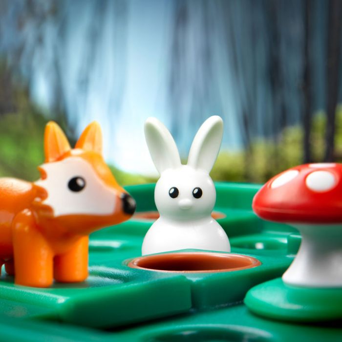 Lièvres et renards, un jeu de réfléxion Smart Games